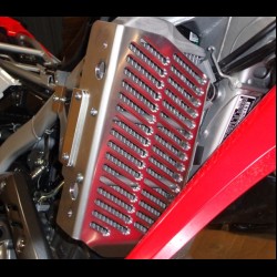 Honda CRF300L Radiator Guard