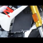 R&G radiator guard voor BMW G310GS